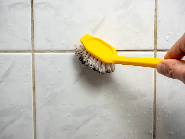 Best Mold Remediation Services  in Ball Ground, GA