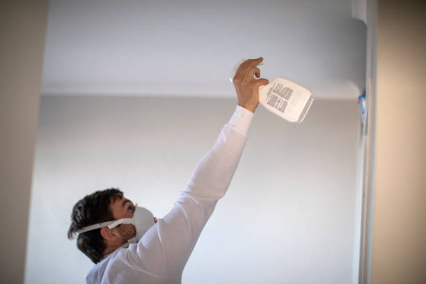 Best Certified Mold Removal  in Ball Ground, GA
